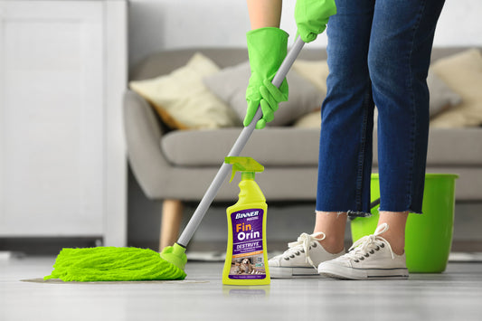 ¿Cómo destruir la orina de tu mascota en el hogar?